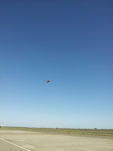 Gucci soars off to new life in Houston, thanks to Pilots N Paws, PugHearts of Houston, and ACO James Matt Ray.