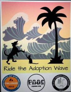 Ride The Adoption Wave
