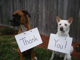 thankyoudogcat