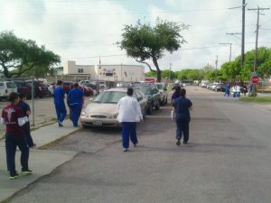 Students and volunteers from Kaplan College fan out around City Hall Thursday to raise awareness on responsible pet ownership.