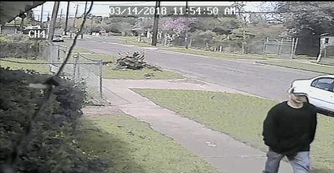 vlcsnap-2018-03-14-18h13m45s496