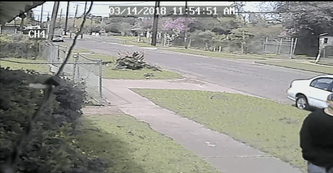 vlcsnap-2018-03-14-18h13m53s964