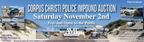 2019 November Impound Lot Auction