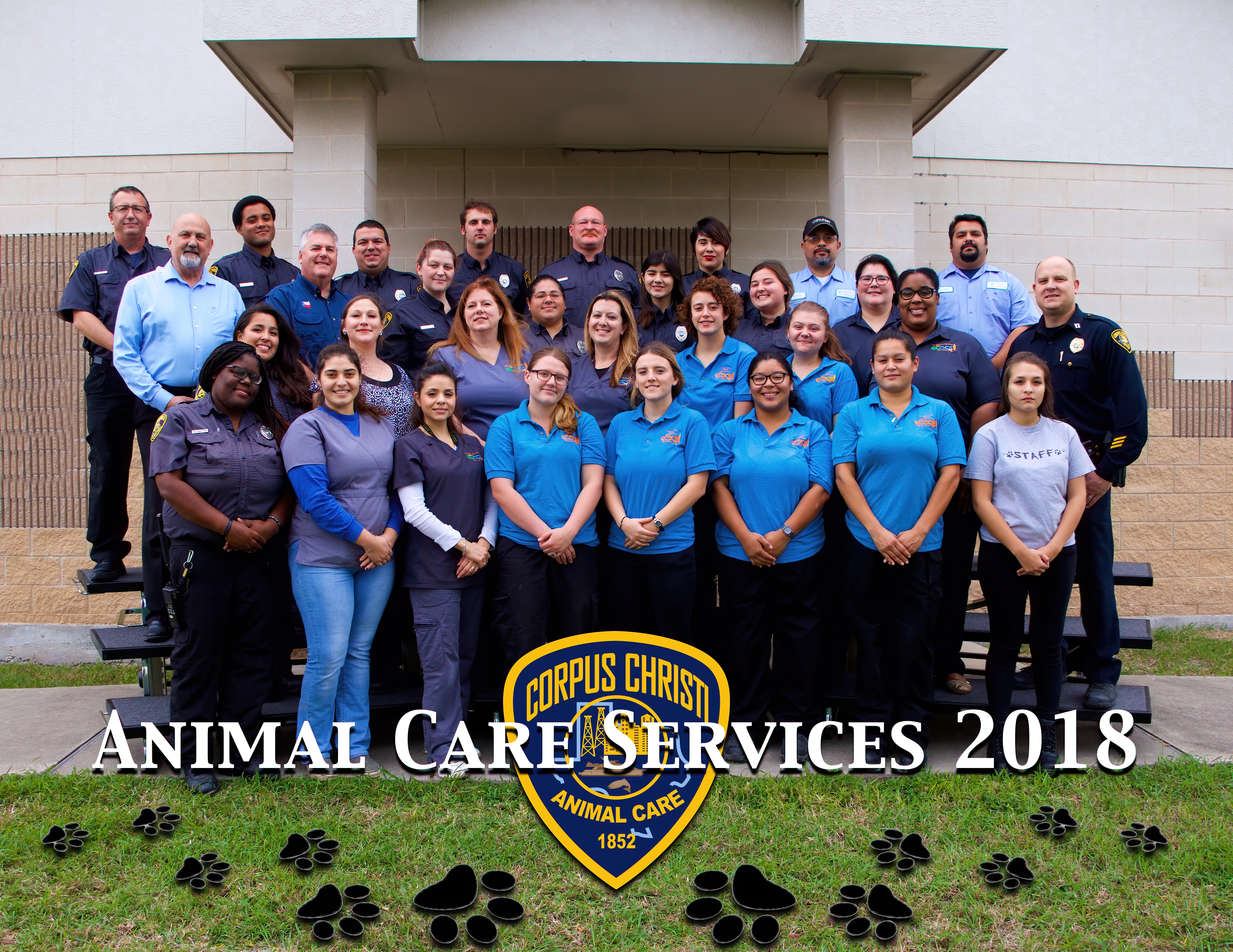 ACS Group Final-denoise-denoise